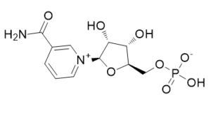 β-Nicotinamide mononucleotide 1094-61-7